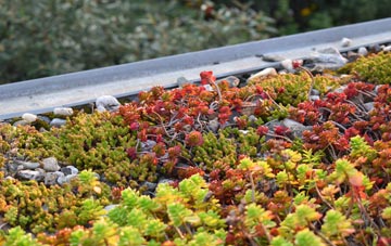 the cost of Salterbeck green roof installation