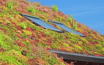 Salterbeck living roof systems