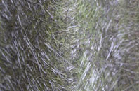 Salterbeck fibreglass roof work